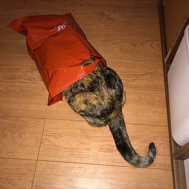 mkkさんの実例写真