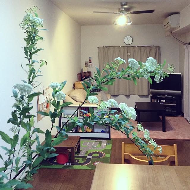 wvwzzzさんの実例写真