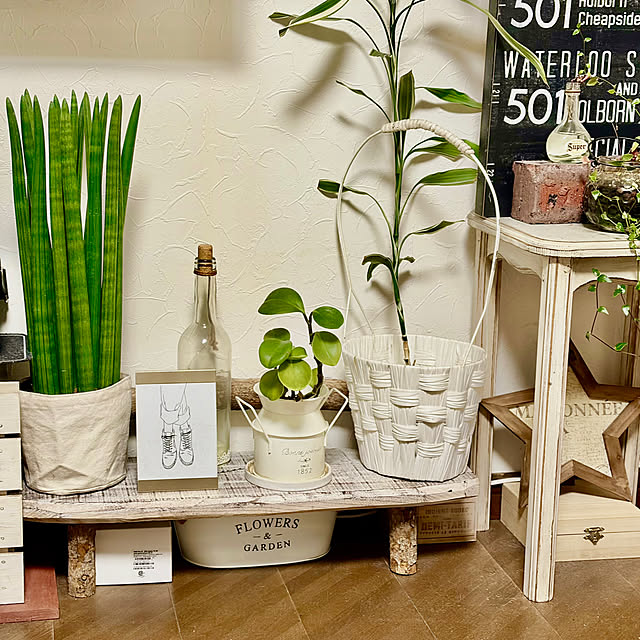 burgundy.roseさんの部屋