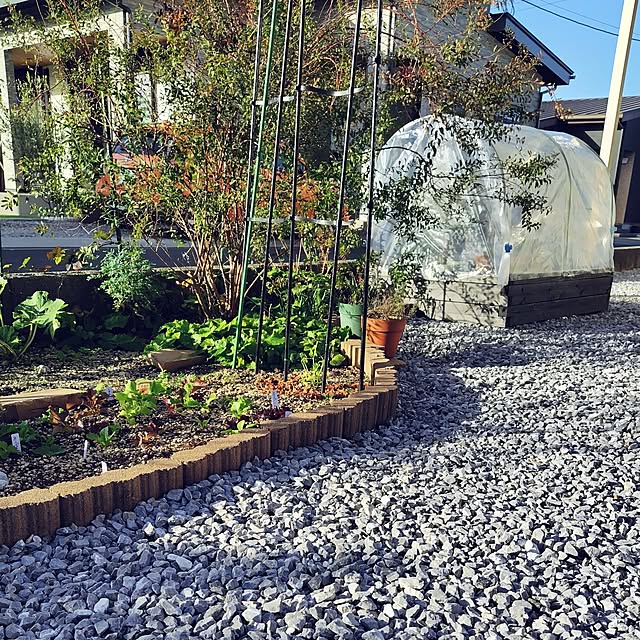 mutsuさんの部屋
