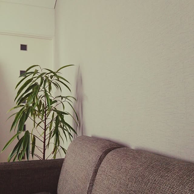 KANSさんの実例写真