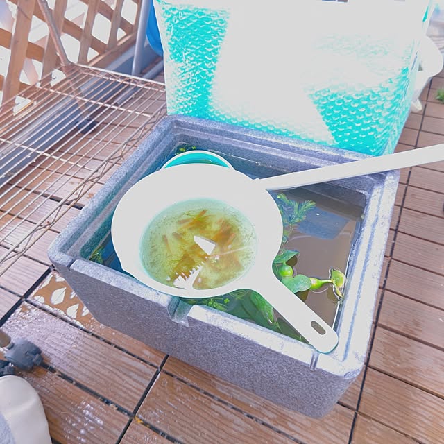 mariaさんの実例写真