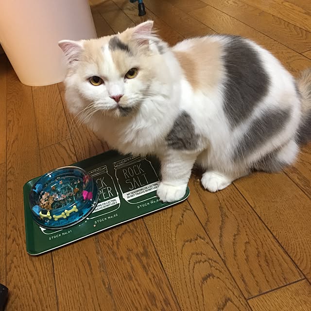 keibooさんの実例写真