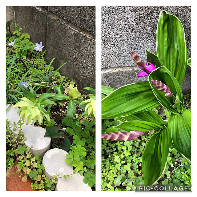 lilyさんの部屋