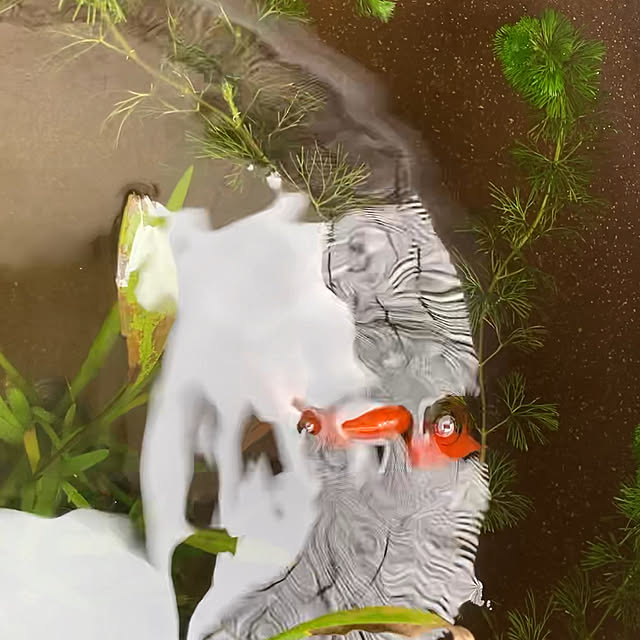 yumomitoさんの実例写真