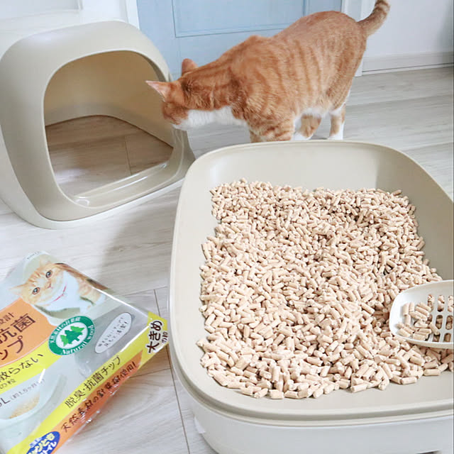 myuuさんの実例写真