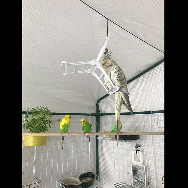 qooguriさんの実例写真