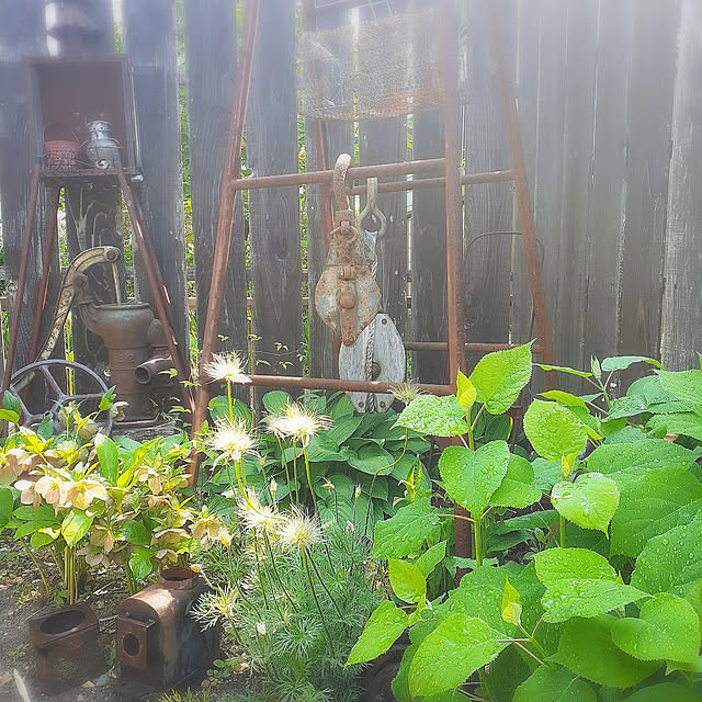 hononoさんの実例写真