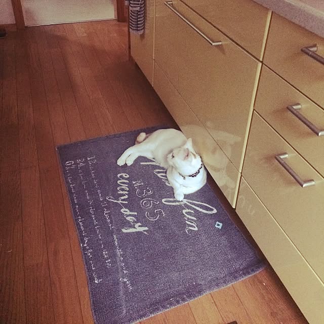 chocolatさんの実例写真