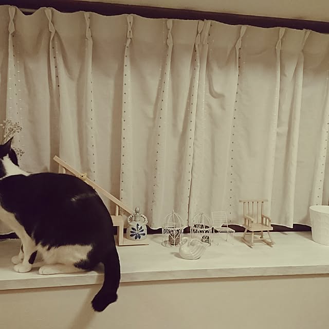 Mooさんの実例写真