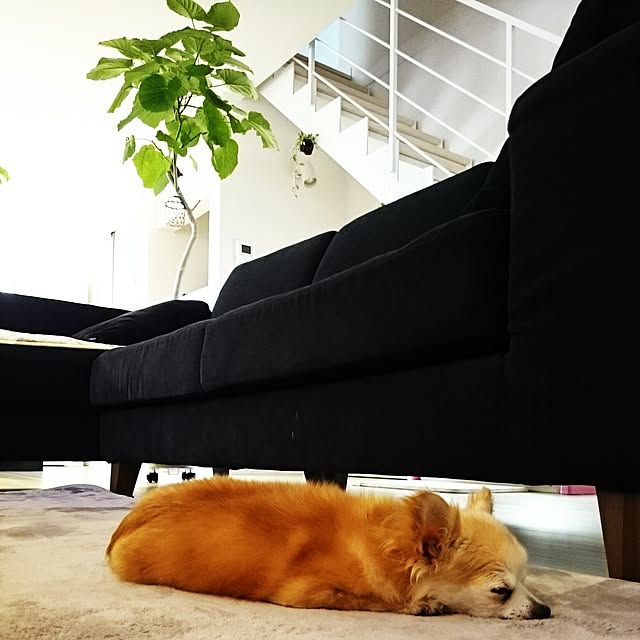 Yukariさんの実例写真
