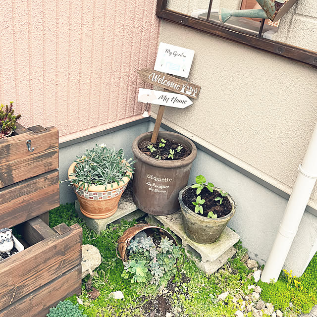 pekoさんの実例写真