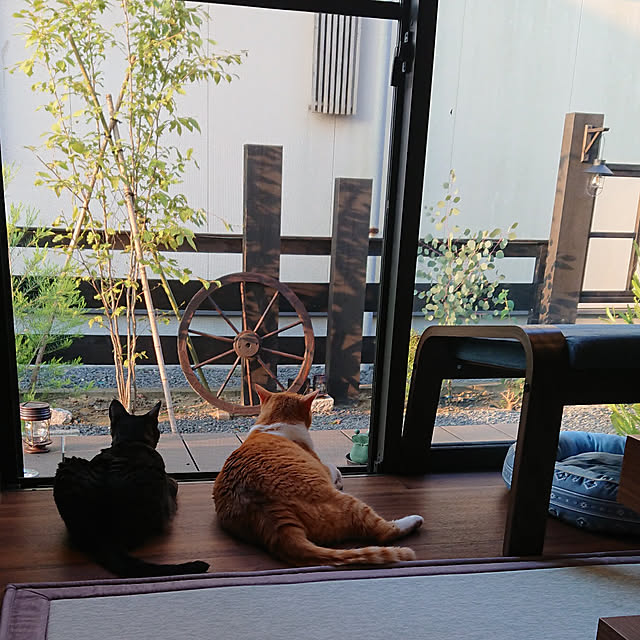 taka-kiさんの実例写真