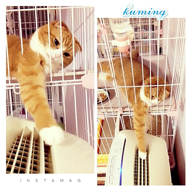 kumingさんの実例写真