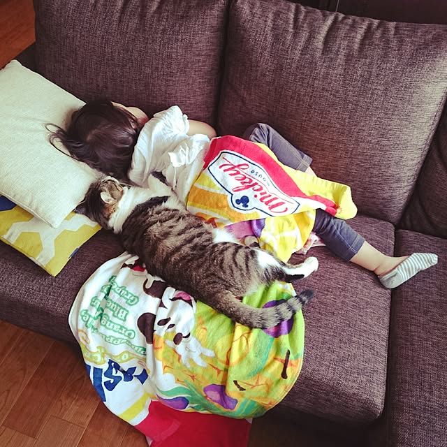 annさんの実例写真