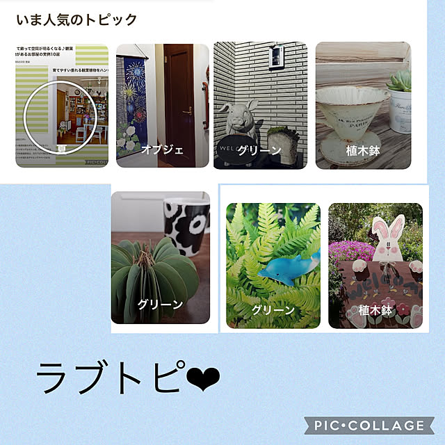 CoCo0617さんの実例写真