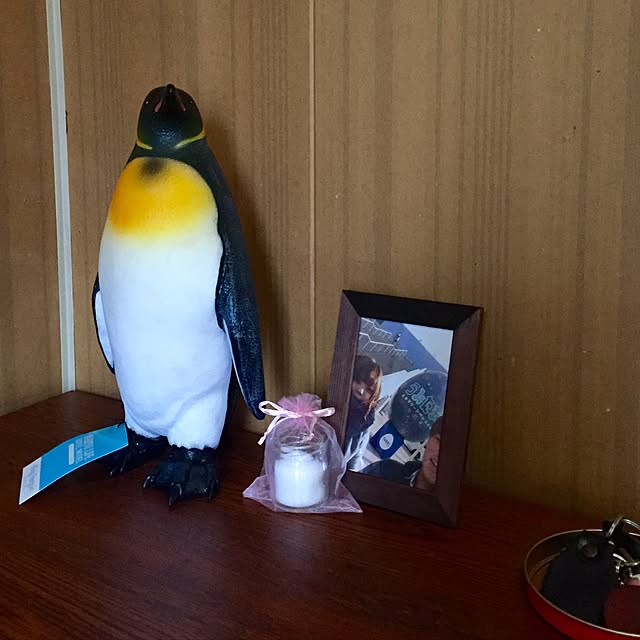 butachanさんの実例写真