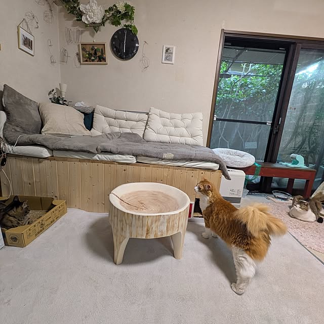 mori_6_12さんの部屋