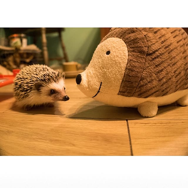 ctaさんの実例写真