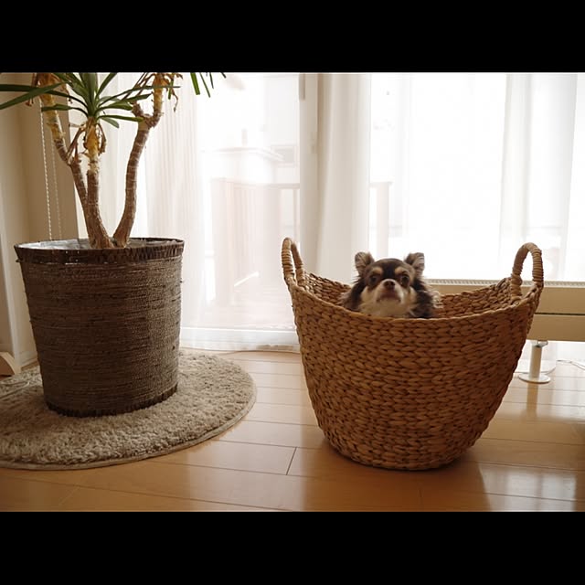 emibeiさんの実例写真