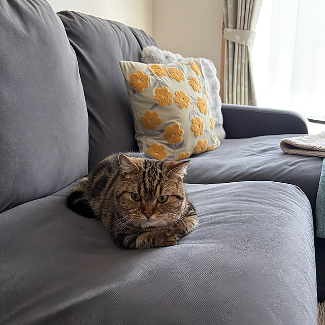 chiiさんの実例写真