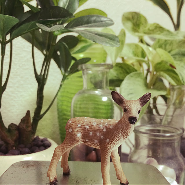 yukoさんの実例写真