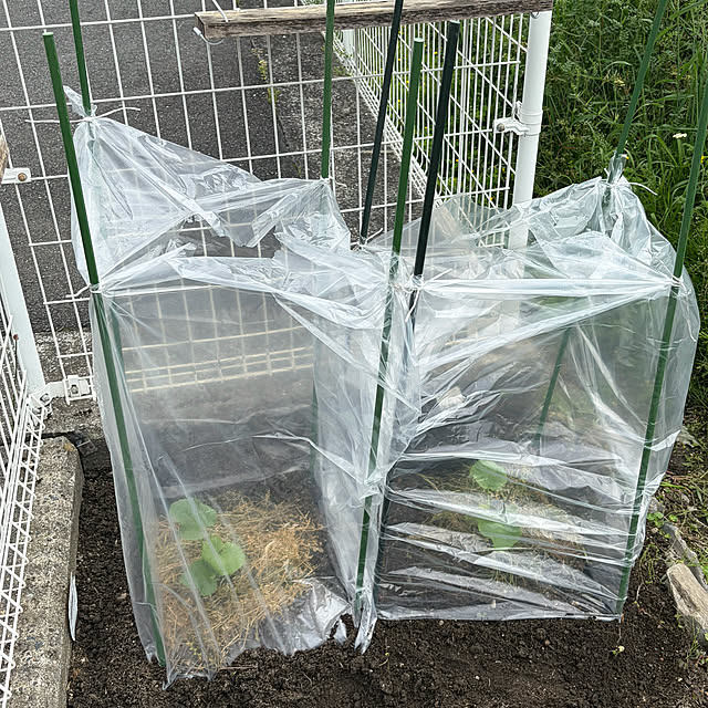 ritsukoさんの実例写真