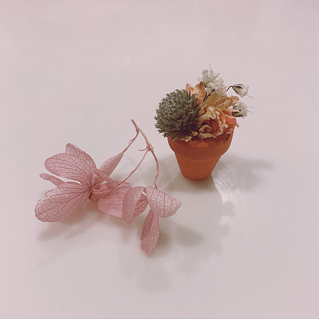 maymamさんの実例写真