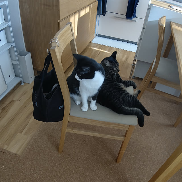 hihaさんの実例写真