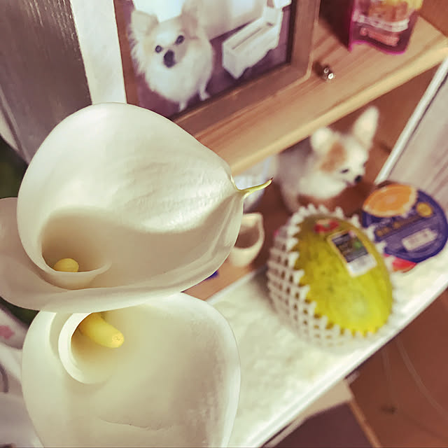 seroriさんの実例写真