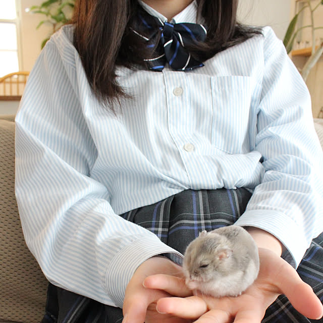 comiriさんの実例写真