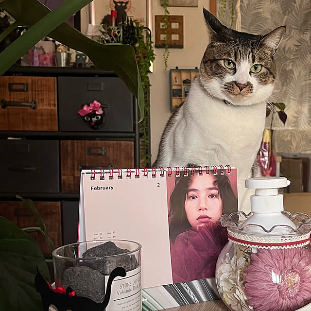 jijiさんの実例写真