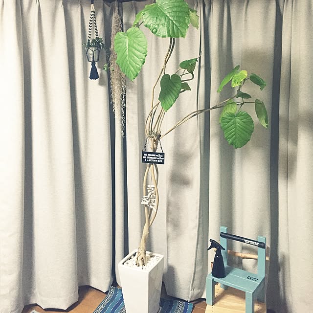 yo-koさんの実例写真