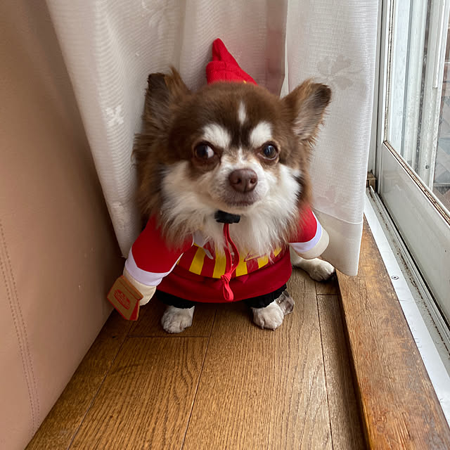 chIoeさんの実例写真