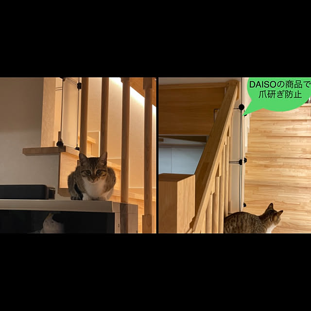 manekinekoさんの実例写真