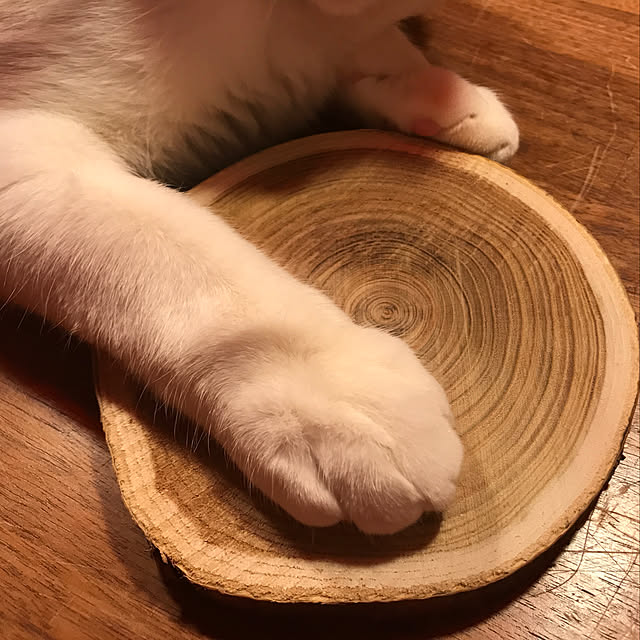 sakurasakuさんの実例写真