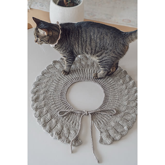 oliveさんの実例写真