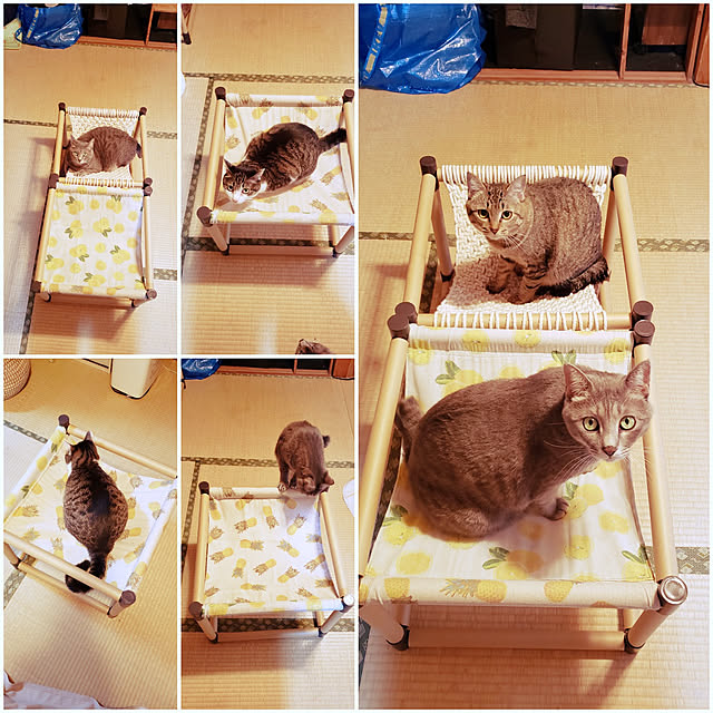 kiraさんの実例写真