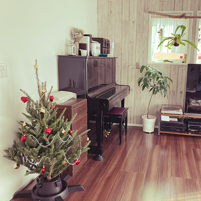 クリスマス/一条工務店/観葉植物のある暮らし/観葉植物/アクセントクロス...などのインテリア実例 - 2022-11-27 10:13:38