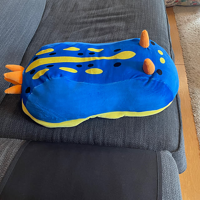 kuikoさんの実例写真