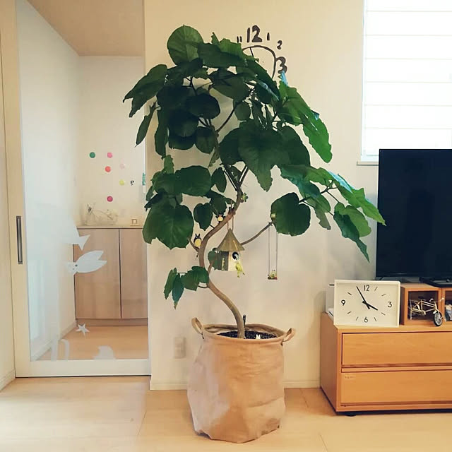 mamekingさんの実例写真