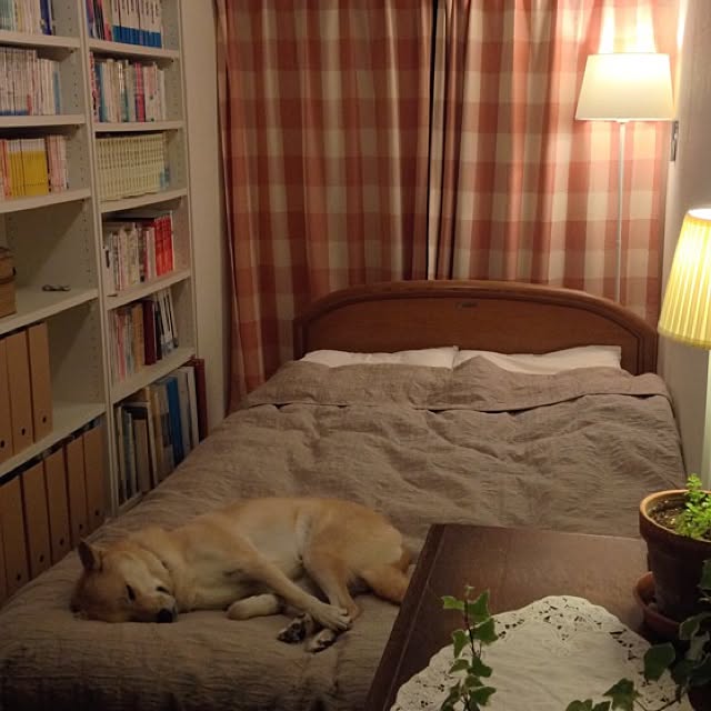 leonaさんの実例写真
