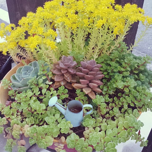 seiさんの実例写真