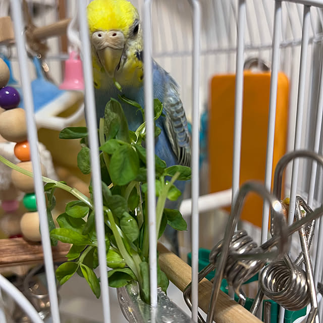 Atsukoさんの部屋