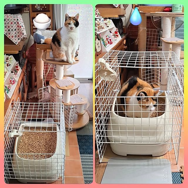 nanaさんの実例写真