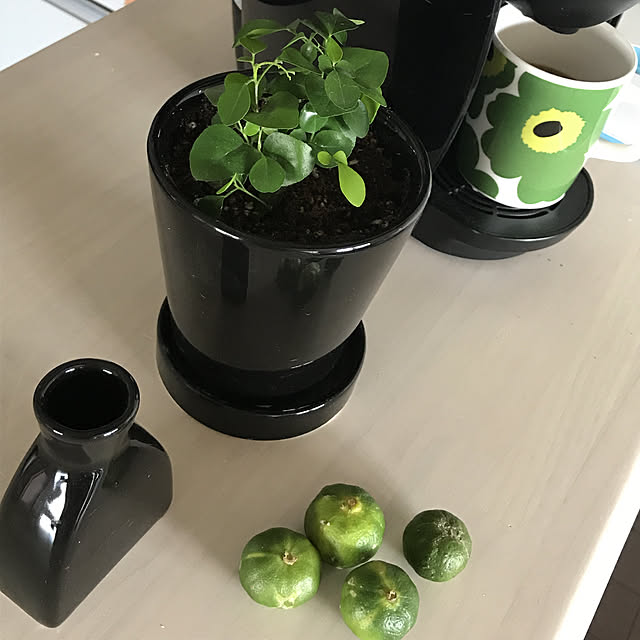 rinrinさんの実例写真