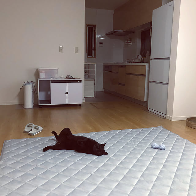 tangosanさんの実例写真