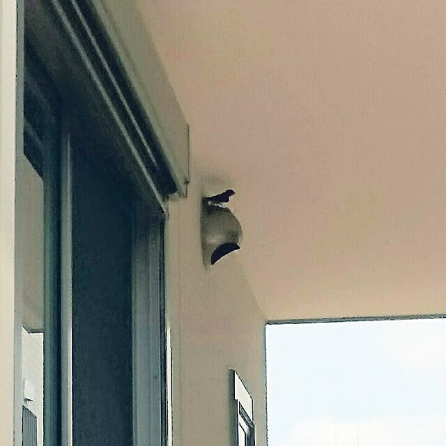 yuuyuさんの実例写真