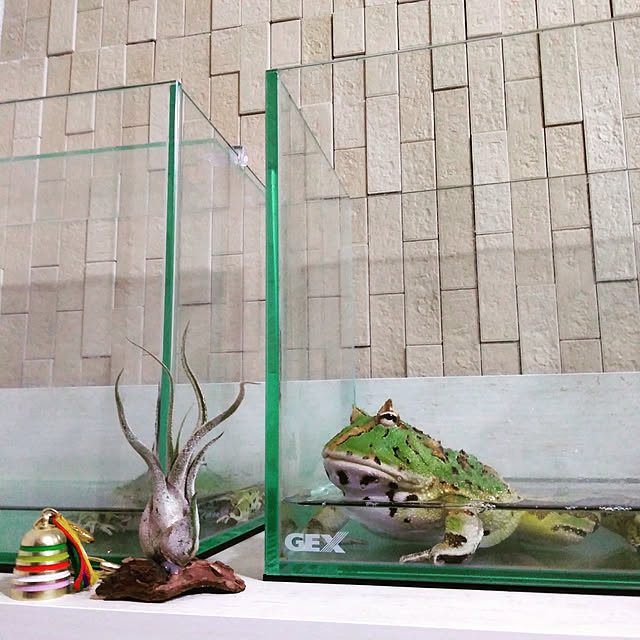 Samさんの実例写真