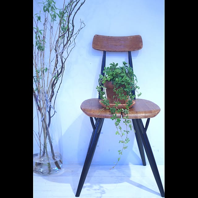 Design papa Ka-tuさんの実例写真